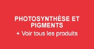 Photosynthèse et Pigments